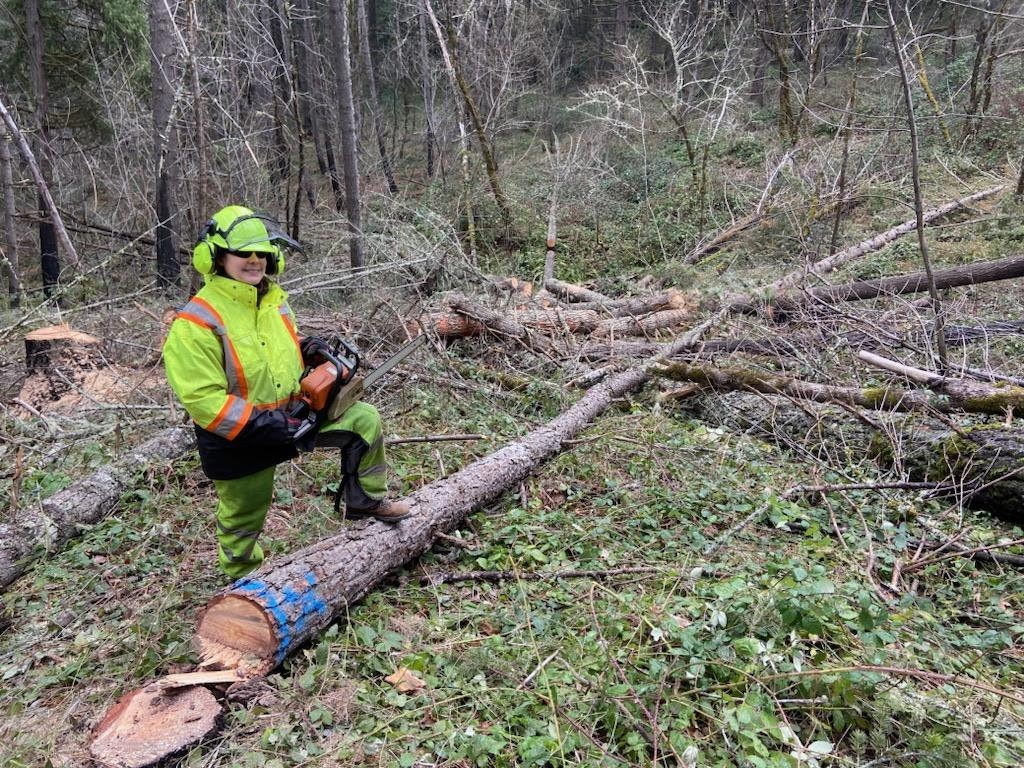 Malkuch's Tree Service Gallery - image 7