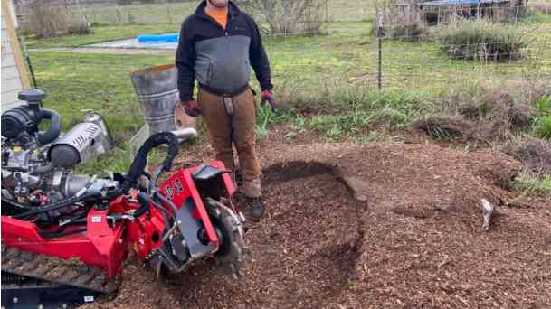 Stump Grinding