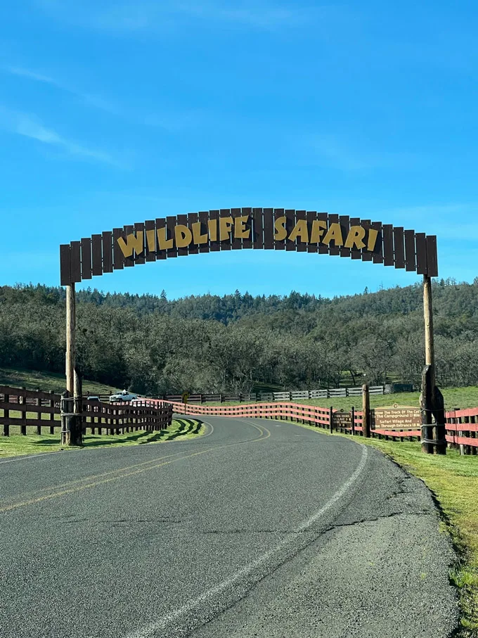 Picture of Wildlife Safari Near Winston, OR